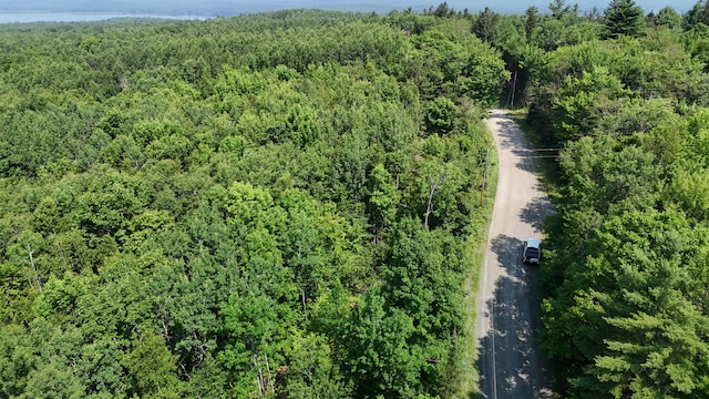 LOT22-03 Vigue Rd, Hartland, ME 04943 - photo 2