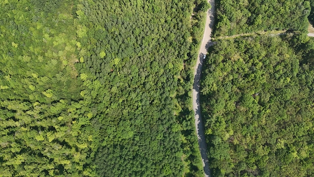 LOT22-03 Vigue Rd, Hartland, ME 04943 - photo 3