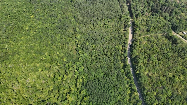 LOT22-03 Vigue Rd, Hartland, ME 04943 - photo 4