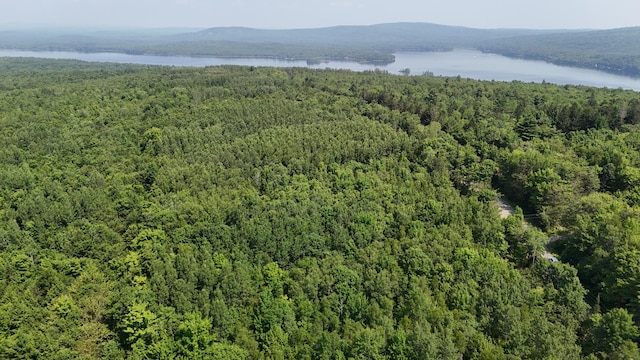 LOT22-03 Vigue Rd, Hartland, ME 04943 - photo 6