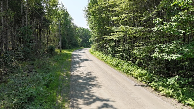 LOT22-03 Vigue Rd, Hartland, ME 04943 - photo 9