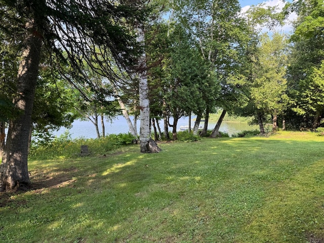 736 W Rd, Portage Lake, ME 04768 - photo 7