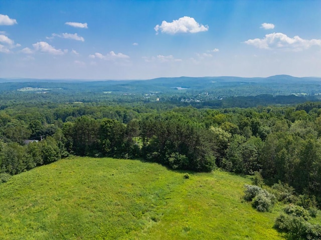 256 Temple Rd, Wilton, ME 04294 - photo 93