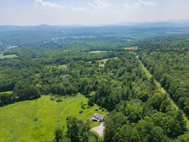 256 Temple Rd, Wilton, ME 04294 - photo 64