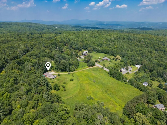 256 Temple Rd, Wilton, ME 04294 - photo 69