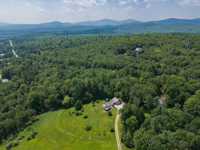 256 Temple Rd, Wilton, ME 04294 - photo 74