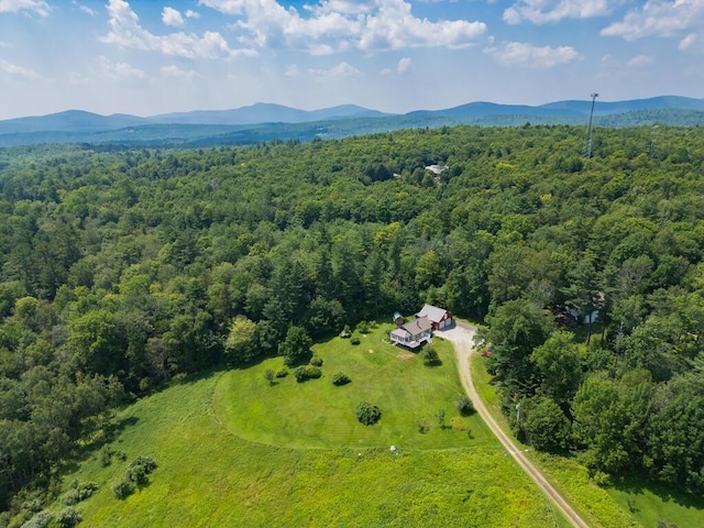 256 Temple Rd, Wilton, ME 04294 - photo 75
