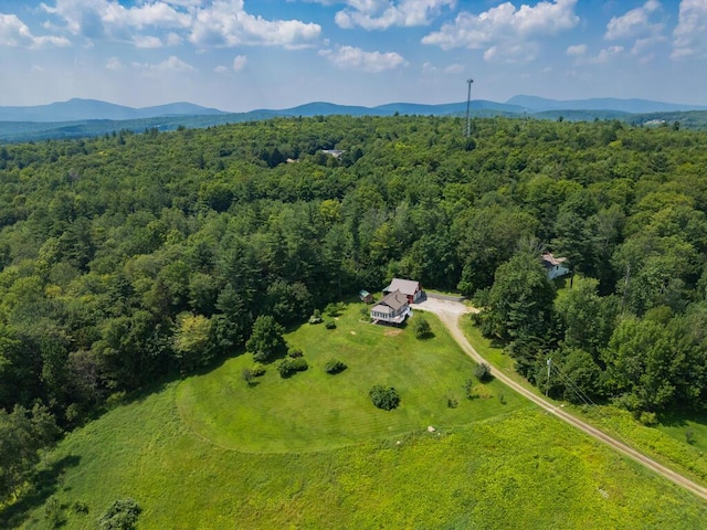 256 Temple Rd, Wilton, ME 04294 - photo 76