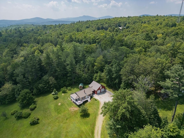 256 Temple Rd, Wilton, ME 04294 - photo 85