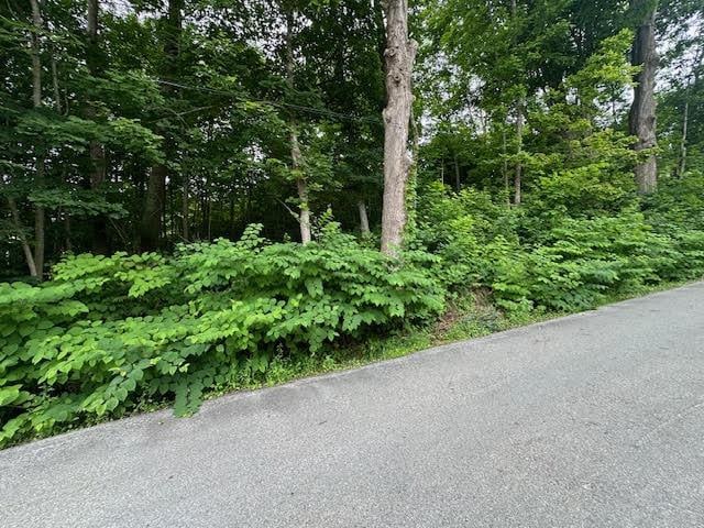4 Green St, Belfast, ME 04915 - photo 2