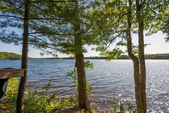 45 Loch Erin Rd, Nobleboro, ME 04555 - photo 88