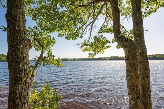 45 Loch Erin Rd, Nobleboro, ME 04555 - photo 89