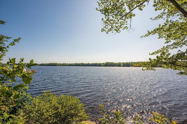45 Loch Erin Rd, Nobleboro, ME 04555 - photo 90