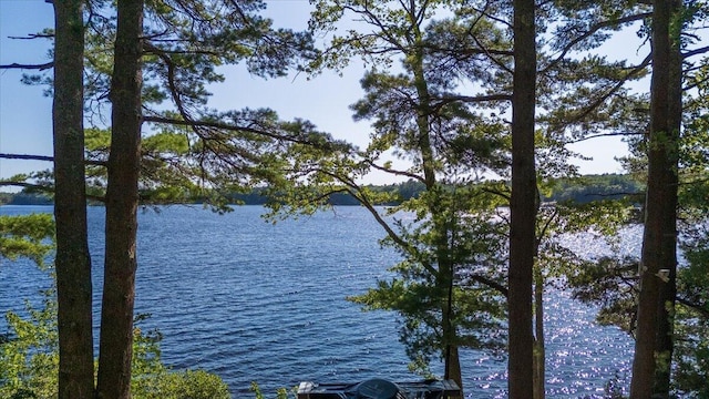 45 Loch Erin Rd, Nobleboro, ME 04555 - photo 107