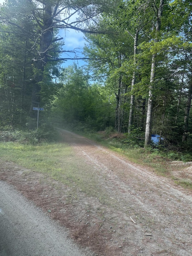 LOT22 Maple Ln, Surry, ME 04684 - photo 4