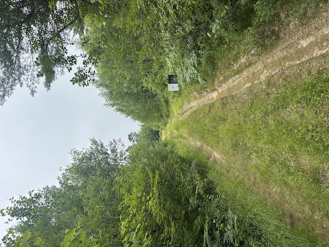 LOT22 Maple Ln, Surry, ME 04684 - photo 8