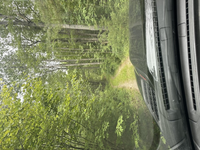 LOT22 Maple Ln, Surry, ME 04684 - photo 10