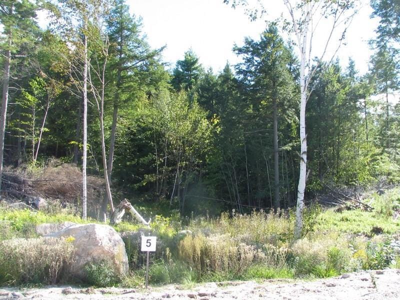 LOT5 Rocky Rdg Rd, Naples, ME 04055 - photo 1