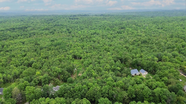 MAP9 Avenue Rd, Levant, ME 04456 - photo 2