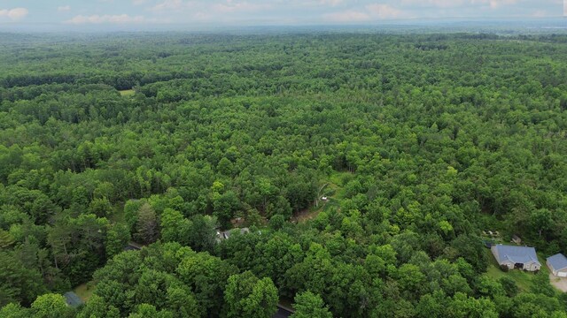 MAP9 Avenue Rd, Levant, ME 04456 - photo 3