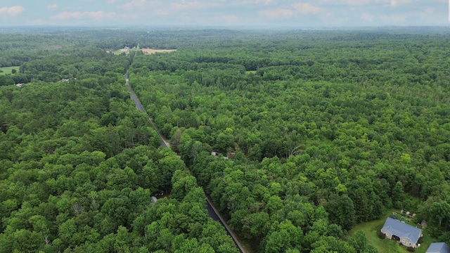 MAP9 Avenue Rd, Levant, ME 04456 - photo 5
