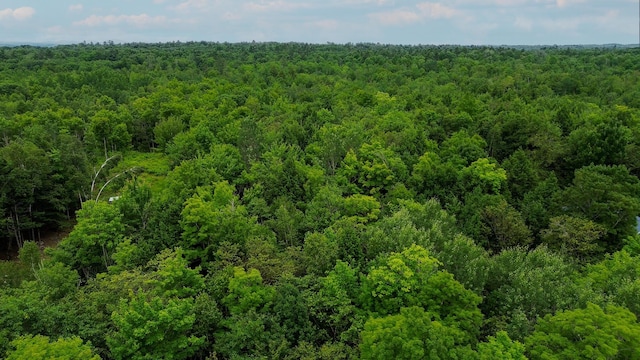 MAP9 Avenue Rd, Levant, ME 04456 - photo 6