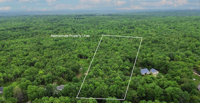 MAP9 Avenue Rd, Levant, ME 04456 - photo 1