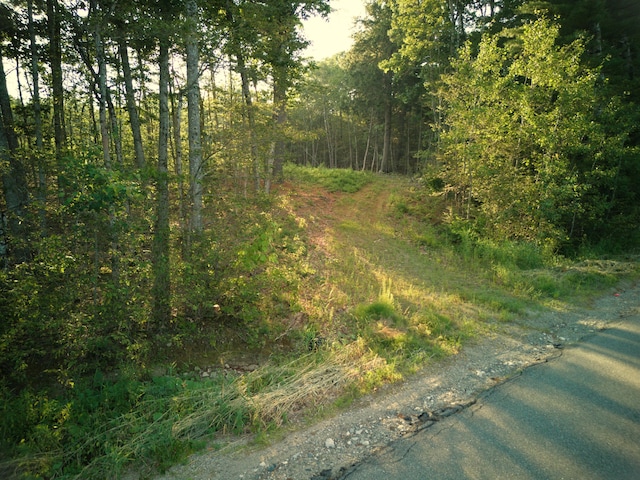 1026 Bucks Mills Rd, Bucksport, ME 04416 - photo 1