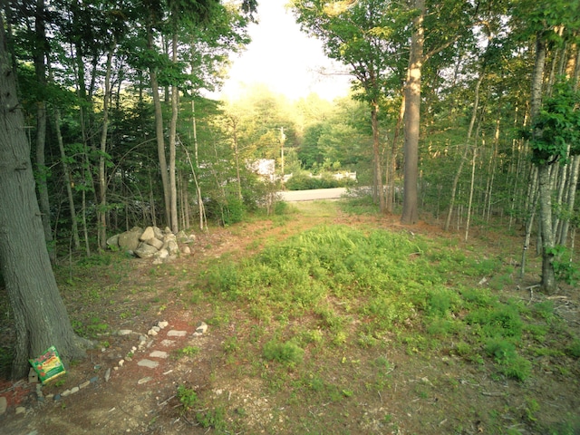 1026 Bucks Mills Rd, Bucksport, ME 04416 - photo 7