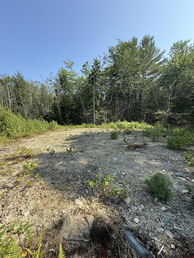 1026 Bucks Mills Rd, Bucksport, ME 04416 - photo 8