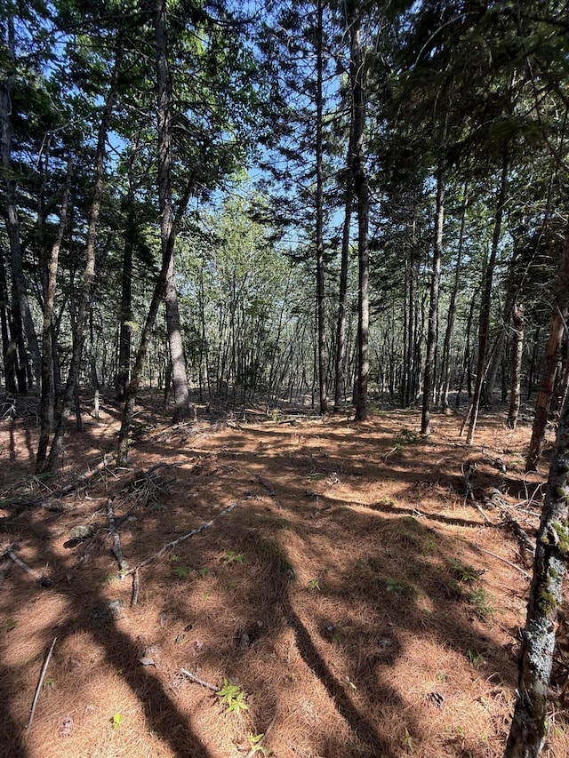 1026 Bucks Mills Rd, Bucksport, ME 04416 - photo 9
