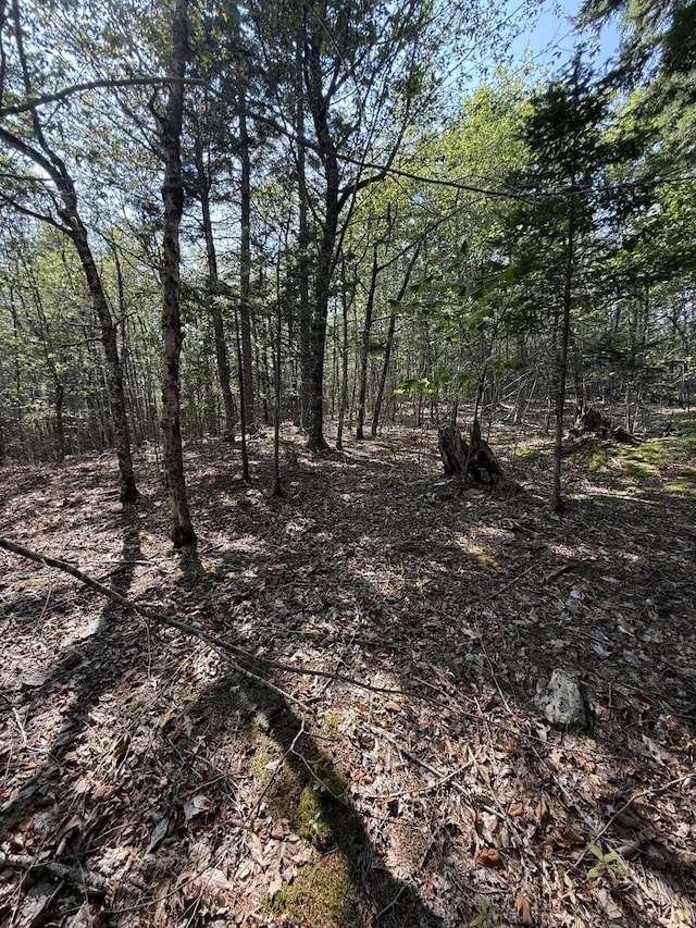 1026 Bucks Mills Rd, Bucksport, ME 04416 - photo 10