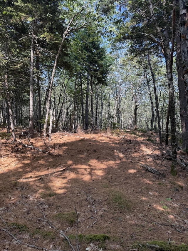 1026 Bucks Mills Rd, Bucksport, ME 04416 - photo 15