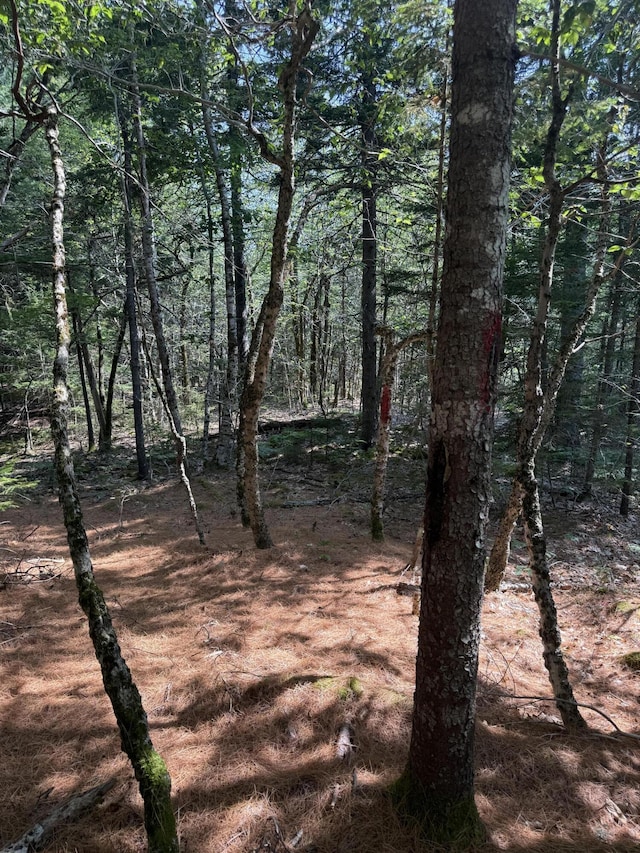 1026 Bucks Mills Rd, Bucksport, ME 04416 - photo 14