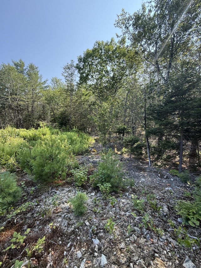 1026 Bucks Mills Rd, Bucksport, ME 04416 - photo 13