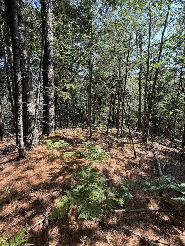 1026 Bucks Mills Rd, Bucksport, ME 04416 - photo 16