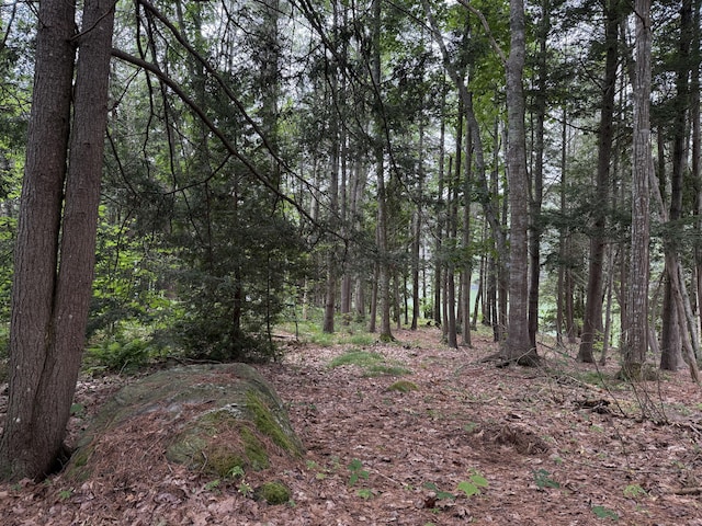 LOT40 Brickyard Cove Rd, Harpswell, ME 04079 - photo 4