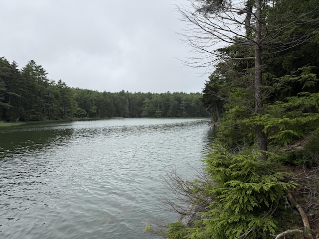 LOT40 Brickyard Cove Rd, Harpswell, ME 04079 - photo 8
