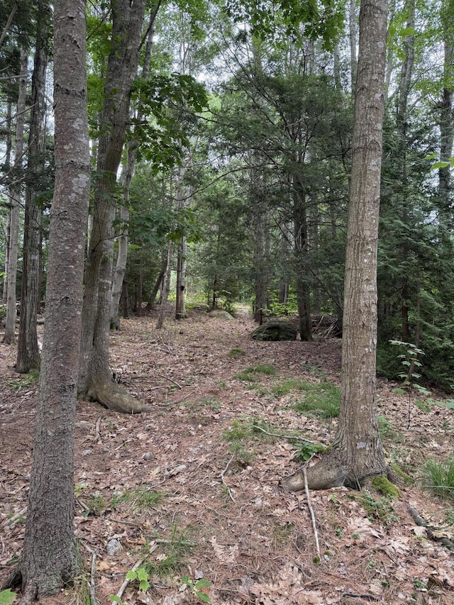 LOT40 Brickyard Cove Rd, Harpswell, ME 04079 - photo 3