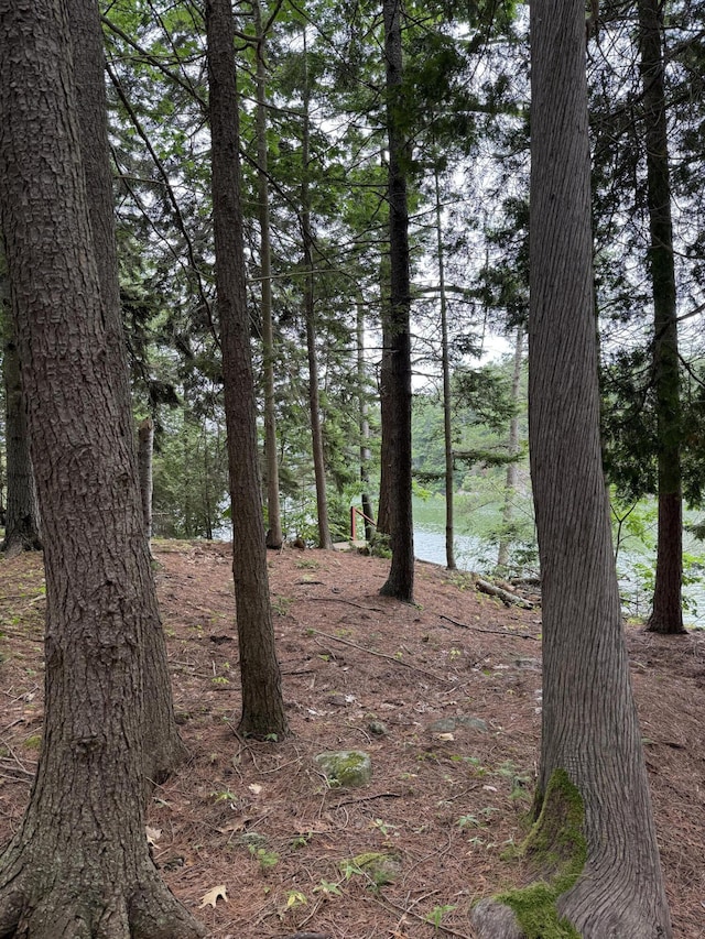 LOT40 Brickyard Cove Rd, Harpswell, ME 04079 - photo 5