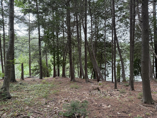 LOT40 Brickyard Cove Rd, Harpswell, ME 04079 - photo 9