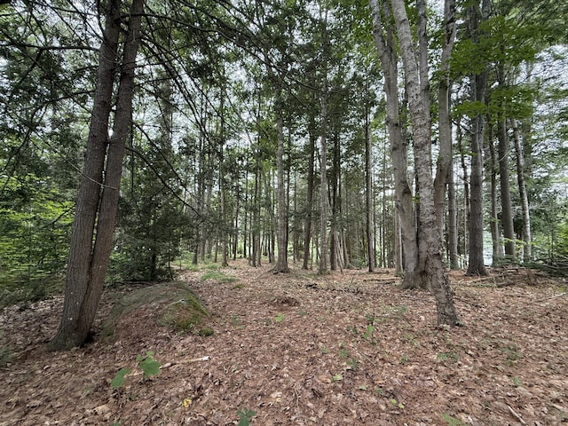 LOT40 Brickyard Cove Rd, Harpswell, ME 04079 - photo 11