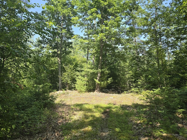 00 Head Tide Hill Rd, Alna, ME 04535 - photo 7