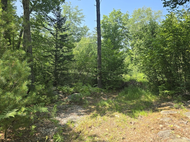 00 Head Tide Hill Rd, Alna, ME 04535 - photo 9