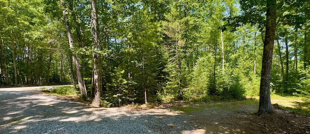 00 Head Tide Hill Rd, Alna, ME 04535 - photo 3