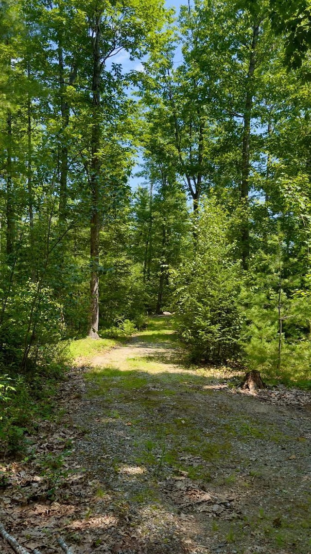 00 Head Tide Hill Rd, Alna, ME 04535 - photo 11