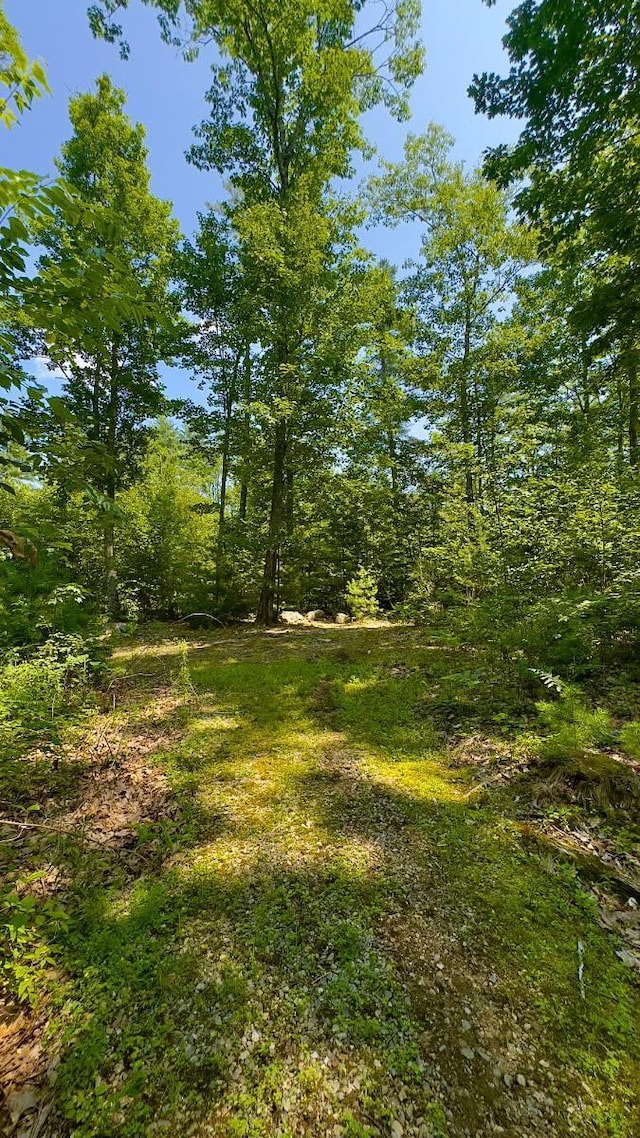 00 Head Tide Hill Rd, Alna, ME 04535 - photo 5