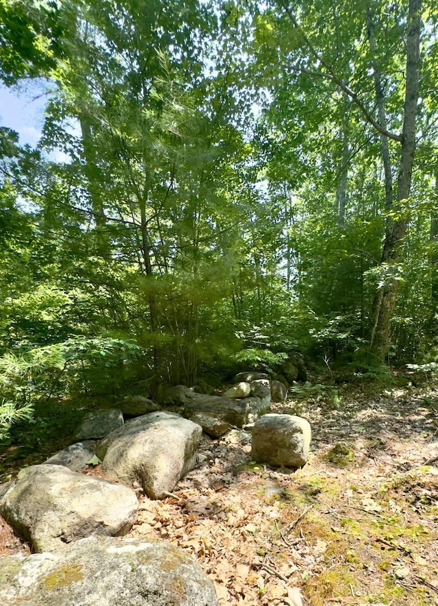 00 Head Tide Hill Rd, Alna, ME 04535 - photo 12