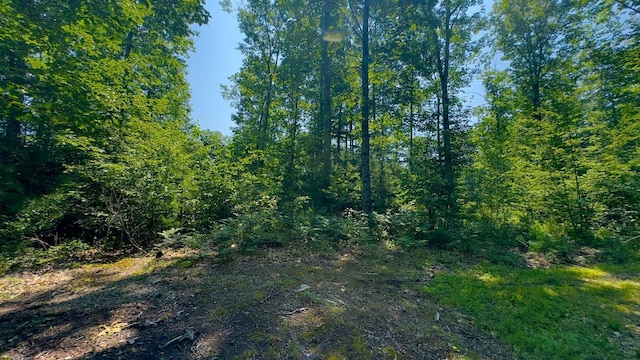00 Head Tide Hill Rd, Alna, ME 04535 - photo 6