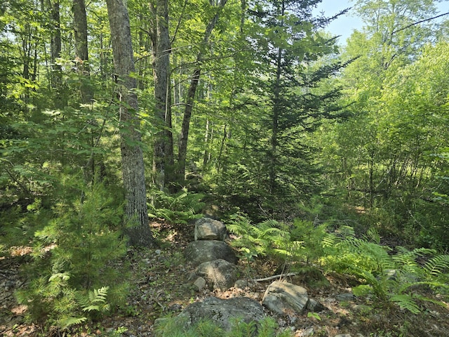 00 Head Tide Hill Rd, Alna, ME 04535 - photo 4